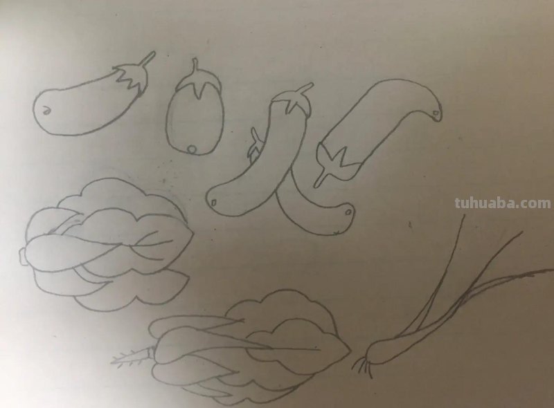 极简蔬果简笔画