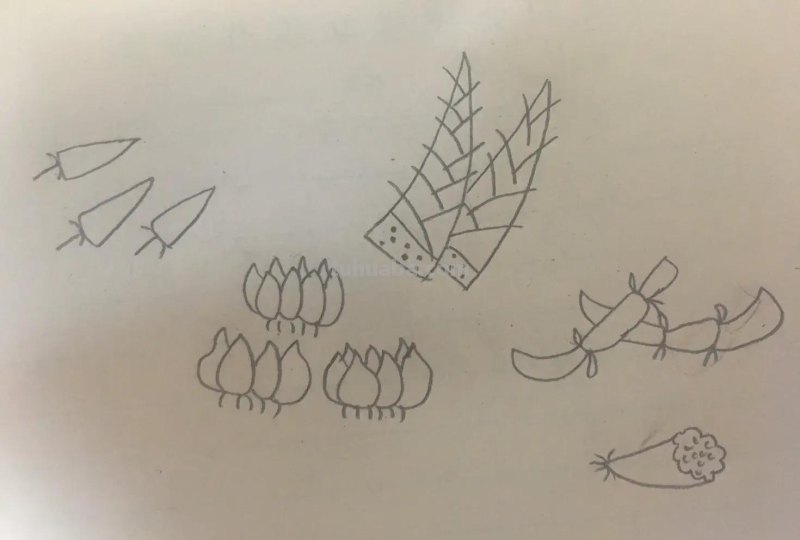 极简蔬果简笔画