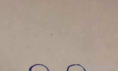 兰博基尼怎么画简笔画 兰博基尼大牛怎么素描？