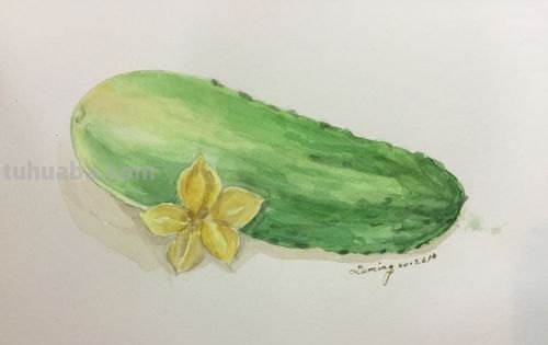 如何用色彩让黄瓜更加生动 