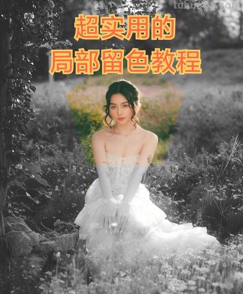 色彩修复及色彩修复工具：让你的图片焕发新生 