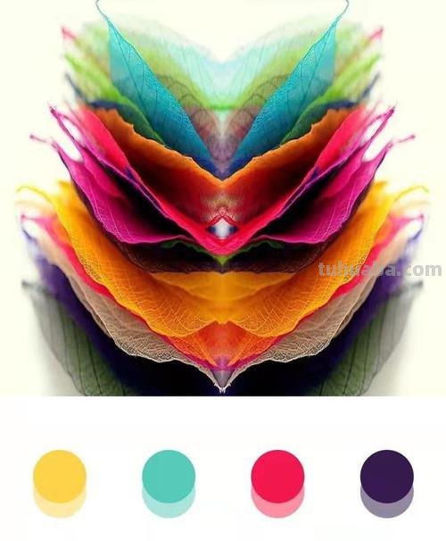 色彩修复及色彩修复工具：让你的图片焕发新生 