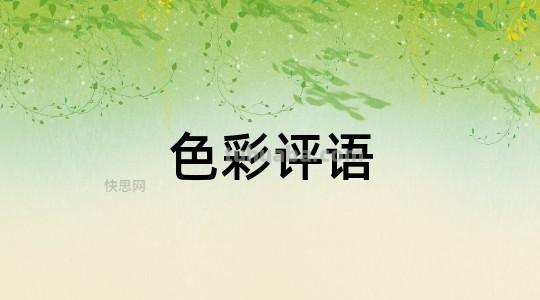 色彩评语——了解色彩评语的优缺点 