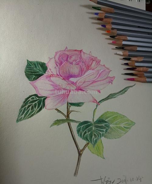 玫瑰树怎么画彩铅 如何用彩铅画树?