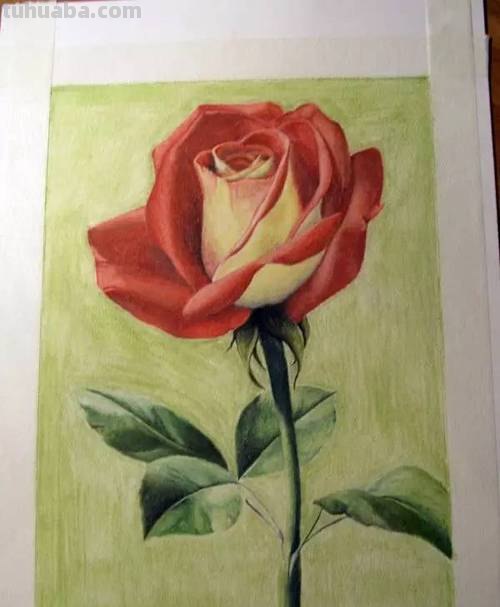 玫瑰树怎么画彩铅 如何用彩铅画树?