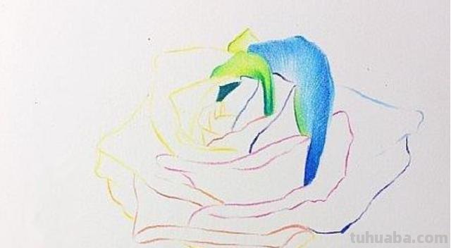 玫瑰树怎么画彩铅 如何用彩铅画树? 玫瑰树怎么画彩铅 如何用彩铅画树?