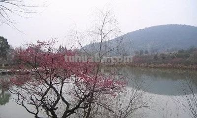 山后山前处处梅的上一句 山后山前处处梅的上一句是什么