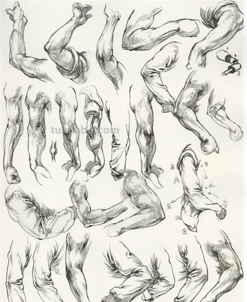 上肢下肢速写 初学者人体结构素描步骤?