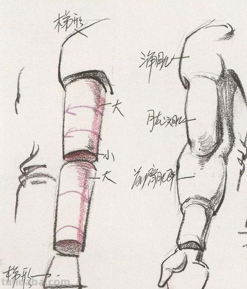 上肢下肢速写 初学者人体结构素描步骤?