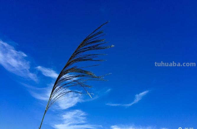 夏日的色彩：让你的夏天更加绚烂多彩 