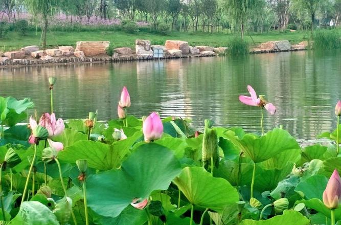 夏日的色彩：让你的夏天更加绚烂多彩 