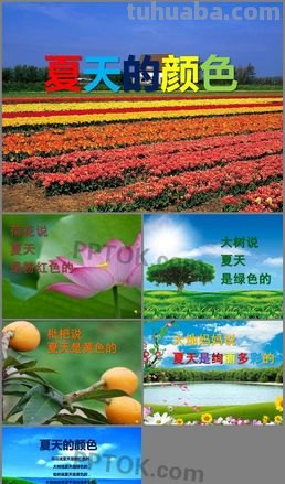 夏日的色彩：让你的夏天更加绚烂多彩 