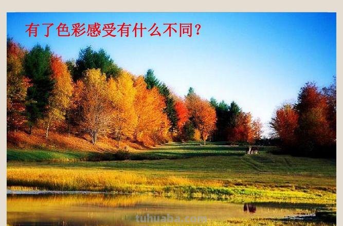 【色彩的同化及其现象】——探秘色彩的神奇奥妙 