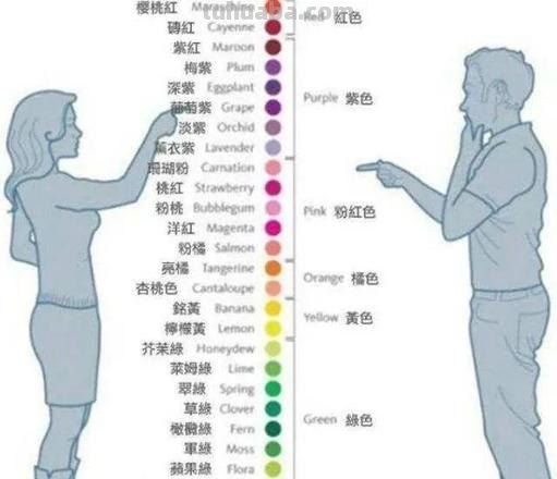 女生色彩敏感性比男生更好，为什么？ 
