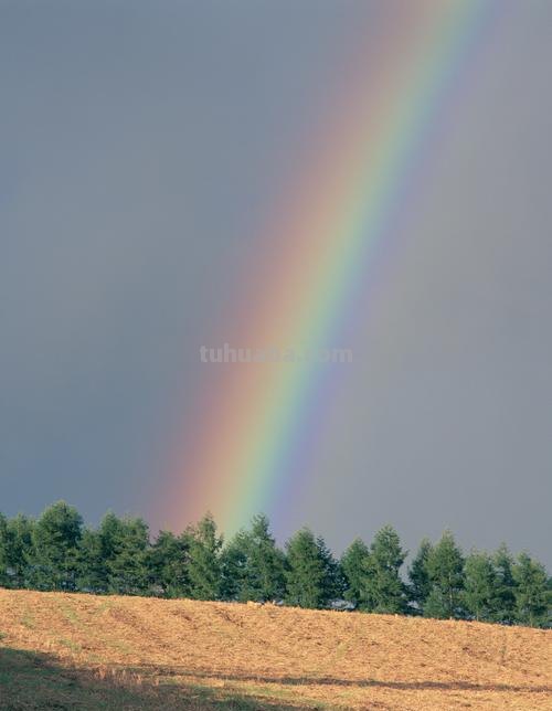 彩色彩虹及彩色彩虹图片大全图片 
