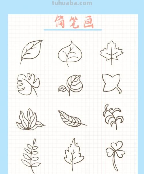 儿童简笔画树叶怎么画 教小孩子画树叶的简笔画？