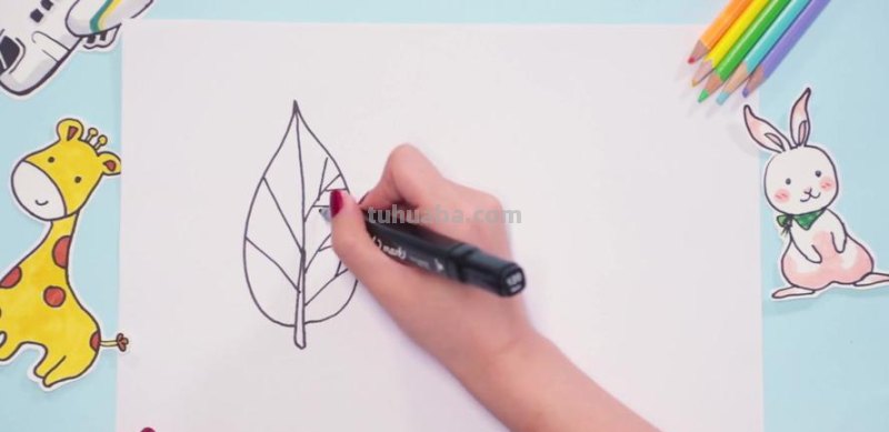 儿童简笔画树叶怎么画 教小孩子画树叶的简笔画？