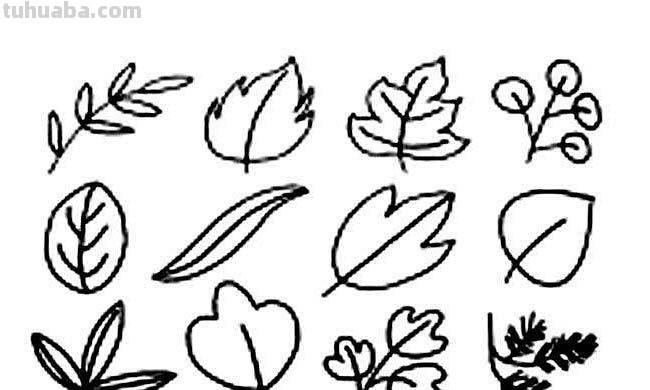 儿童简笔画树叶怎么画 教小孩子画树叶的简笔画？