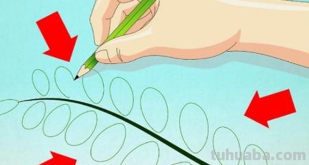 儿童简笔画树叶怎么画 教小孩子画树叶的简笔画？