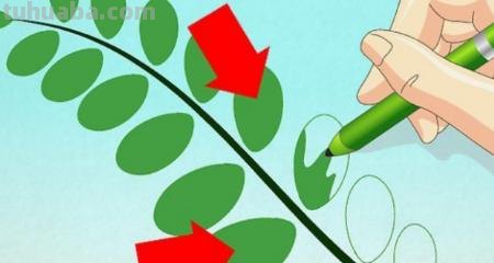 儿童简笔画树叶怎么画 教小孩子画树叶的简笔画？