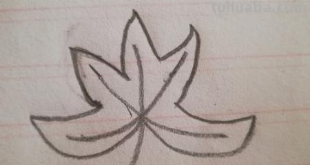 儿童简笔画树叶怎么画 教小孩子画树叶的简笔画？