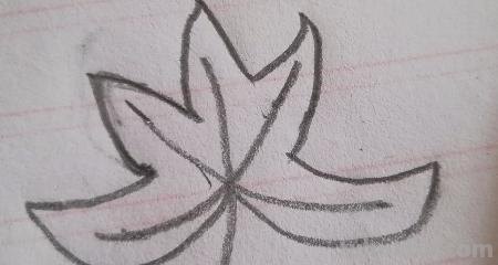 儿童简笔画树叶怎么画 教小孩子画树叶的简笔画？