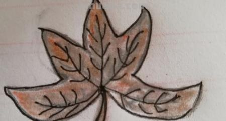 儿童简笔画树叶怎么画 教小孩子画树叶的简笔画？