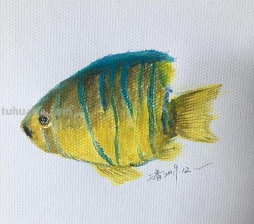 如何用色彩画出生动的鱼？色彩画鱼教程 