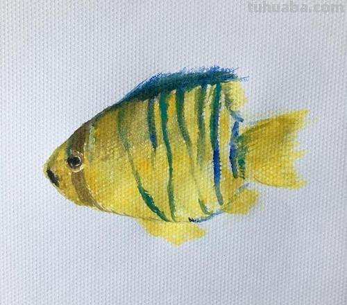 如何用色彩画出生动的鱼？色彩画鱼教程 