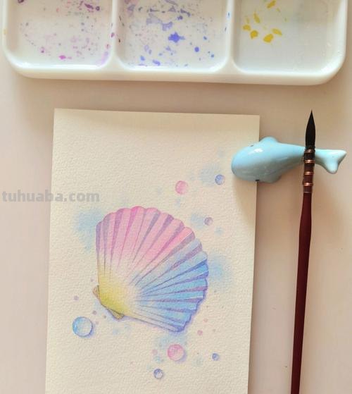 贝壳的色彩及贝壳的色彩丰富 