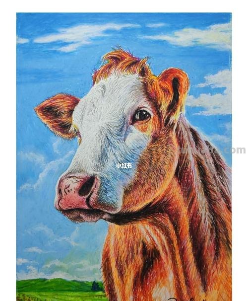 牛色彩图片及牛 色彩:让你的绘画更加生动