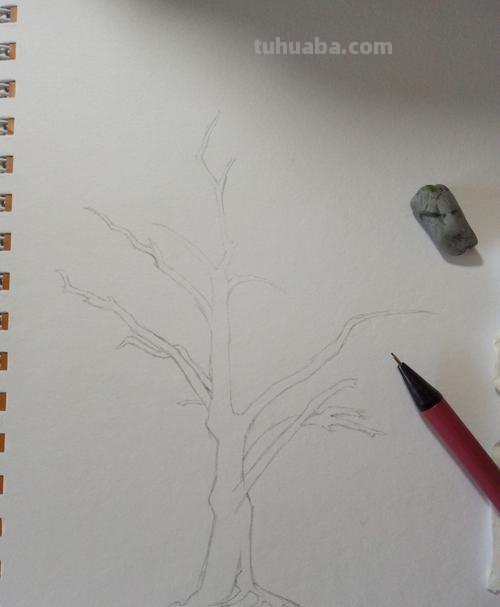 枝干怎么画彩铅色 简单铅笔画图片植物？