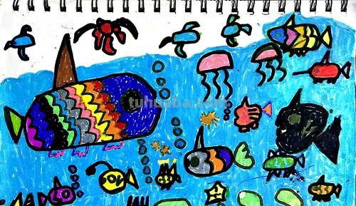 追寻色彩斑斓的鱼儿世界：如何画出色彩斑斓的鱼儿 