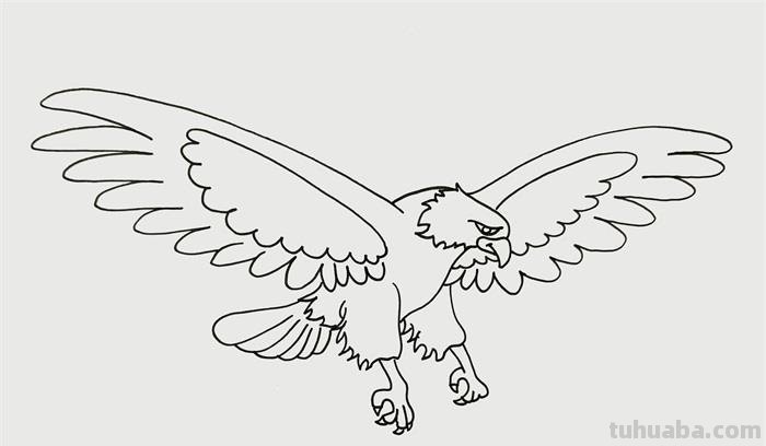 老鹰怎么画简笔画步骤 画老鹰的方法和步骤？
