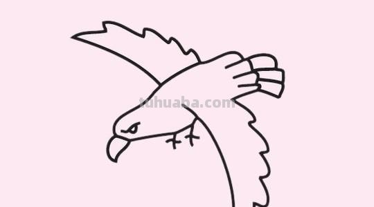 老鹰怎么画简笔画步骤 画老鹰的方法和步骤?