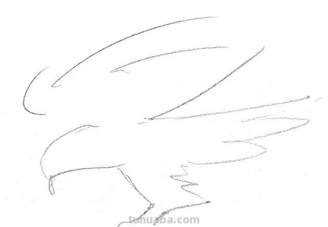 老鹰怎么画简笔画步骤 画老鹰的方法和步骤? 老鹰怎么画简笔画步骤 画老鹰的方法和步骤?