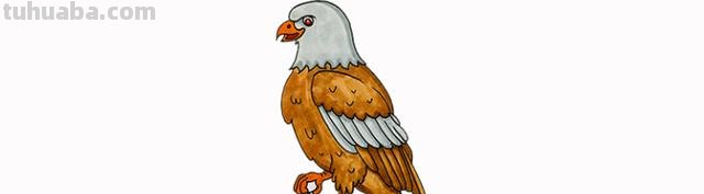 老鹰怎么画简笔画步骤 画老鹰的方法和步骤? 老鹰怎么画简笔画步骤 画老鹰的方法和步骤?