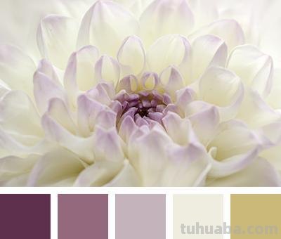 【淡雅色彩是什么颜色？】-淡雅色彩的魅力 