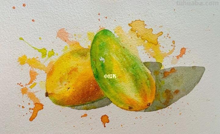 芒果色彩及芒果色彩怎么画