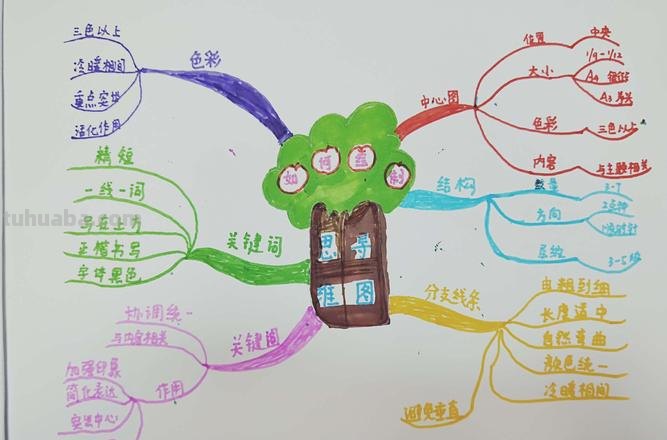 学校思维导图怎么画 如何画思维导图？