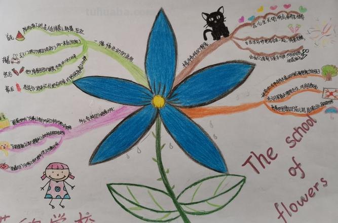 学校思维导图怎么画 如何画思维导图？