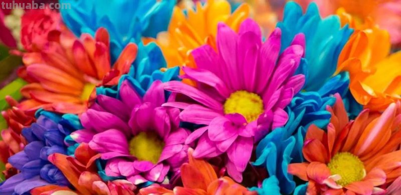 拍摄色彩及拍摄色彩有哪些?