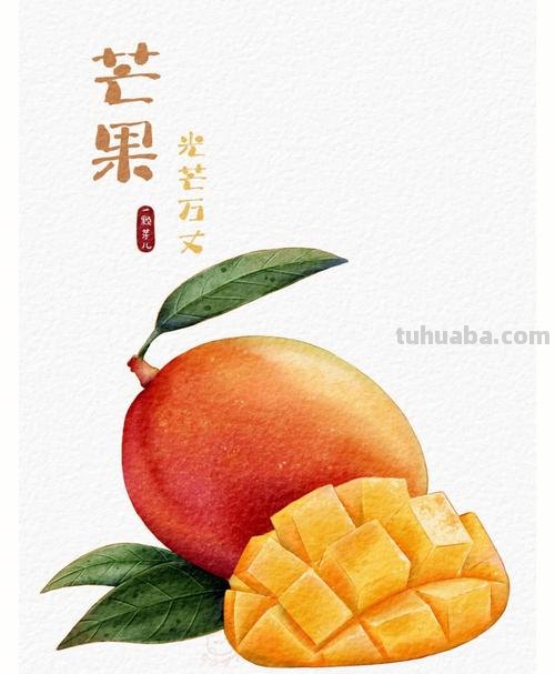 用色彩芒果打造绚丽画作——色彩芒果的画法详解