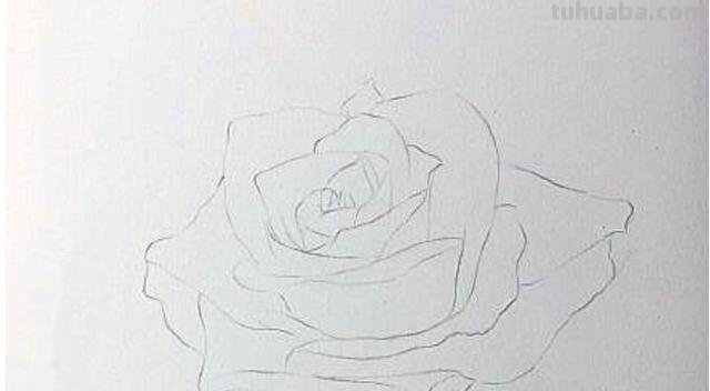 鲜花怎么画 彩铅颜色 彩铅花朵图解教程1? 鲜花怎么画 彩铅颜色 彩铅花朵图解教程1?