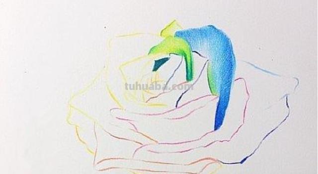 鲜花怎么画 彩铅颜色 彩铅花朵图解教程1? 鲜花怎么画 彩铅颜色 彩铅花朵图解教程1?