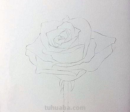 鲜花怎么画 彩铅颜色 彩铅花朵图解教程1? 鲜花怎么画 彩铅颜色 彩铅花朵图解教程1?