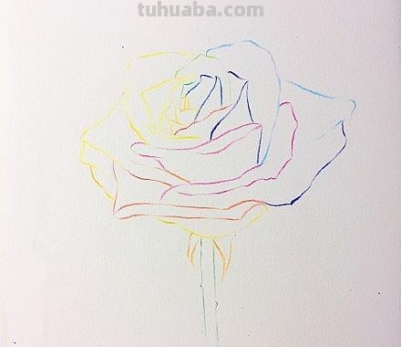 鲜花怎么画 彩铅颜色 彩铅花朵图解教程1? 鲜花怎么画 彩铅颜色 彩铅花朵图解教程1?