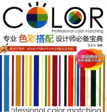 专业色彩搭配及专业色彩搭配设计师必备宝典PDF——打造色彩美学的秘籍！ 