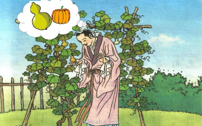 小学课文我要的是葫芦课文道理 小学课文我要的是葫芦课文道理和启示