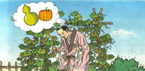 我要的是葫芦说明什么道理?